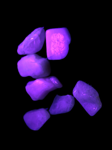 Small polished Kunzite crystals 6-8g in UV light