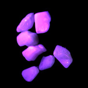 Small polished Kunzite crystals 6-8g in UV light