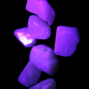 Small polished Kunzite crystals 6-8g in UV light