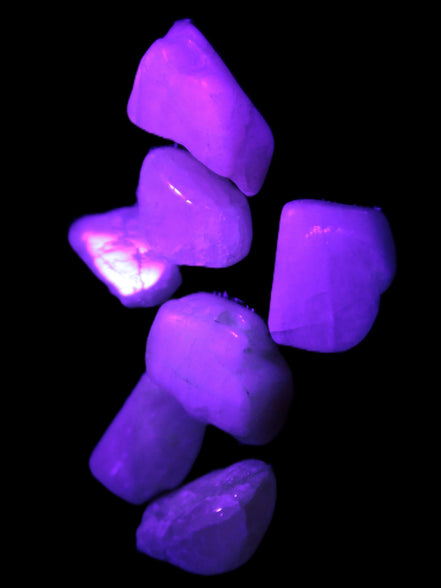 Small polished Kunzite crystals 6-8g in UV light