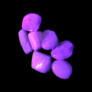 Small polished Kunzite crystals 6-8g in UV light