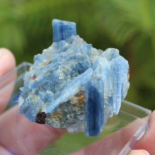 Kyanite rough 45g Rocks and Things