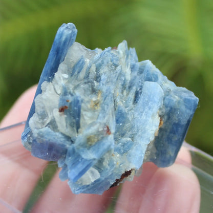 Kyanite rough 45g Rocks and Things