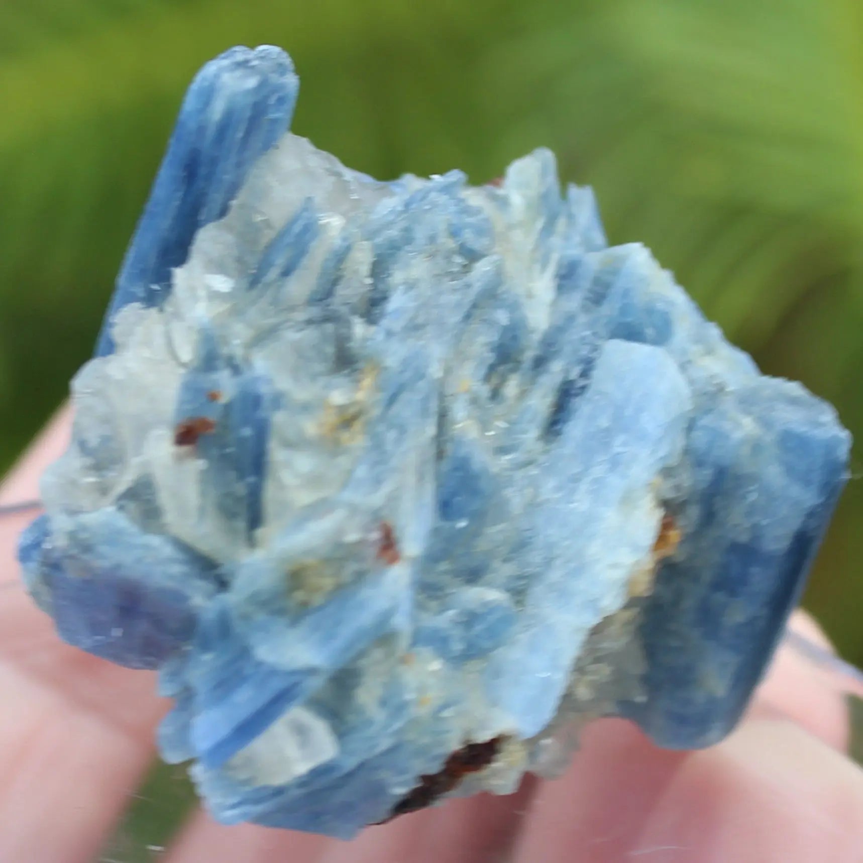 Kyanite rough 45g Rocks and Things