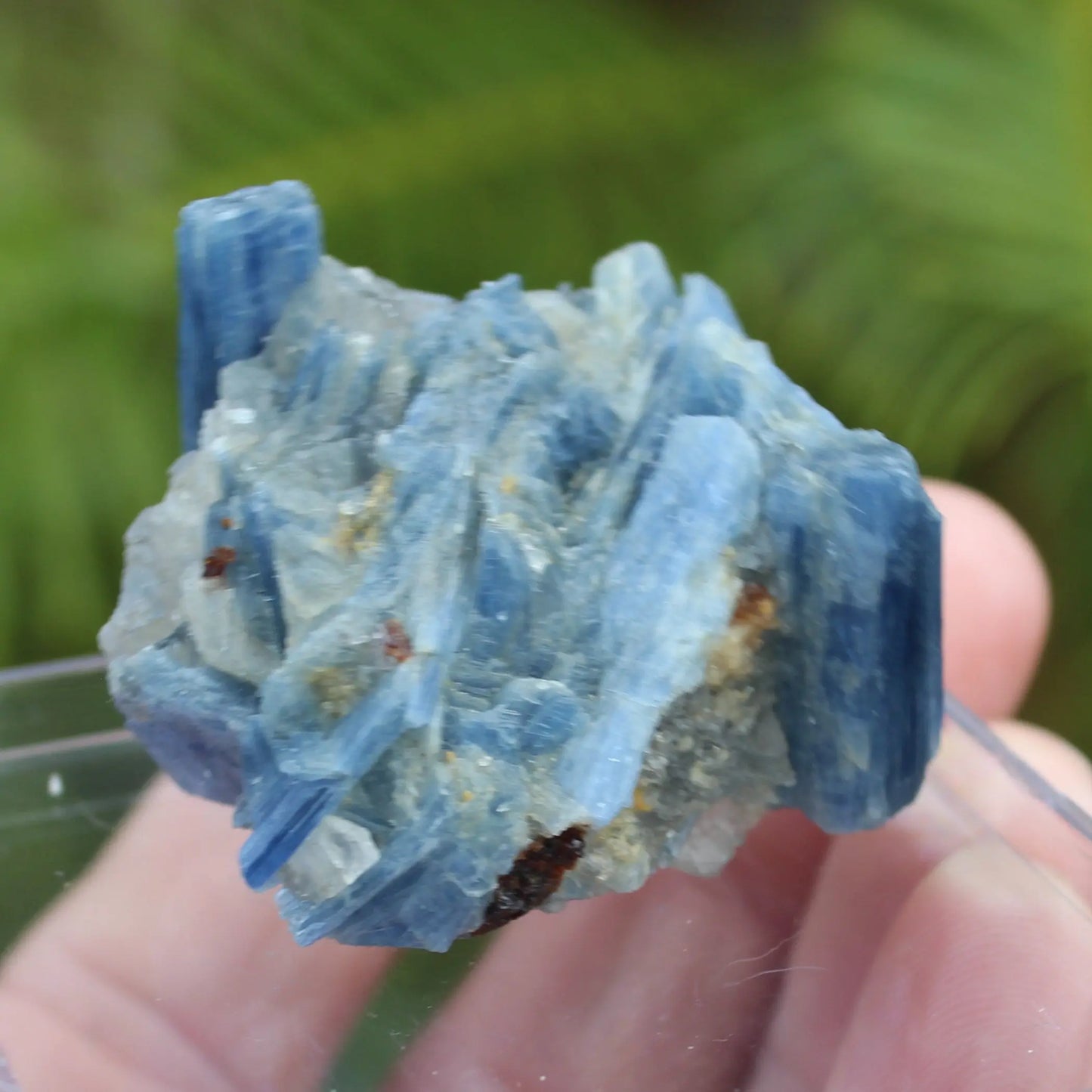 Kyanite rough 45g Rocks and Things