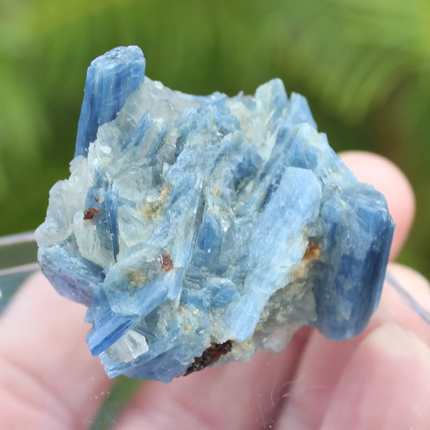 Kyanite rough 45g Rocks and Things