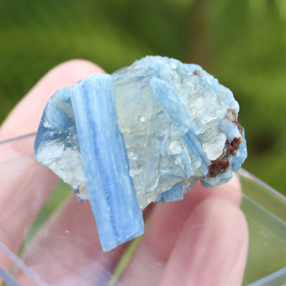 Kyanite rough 45g Rocks and Things