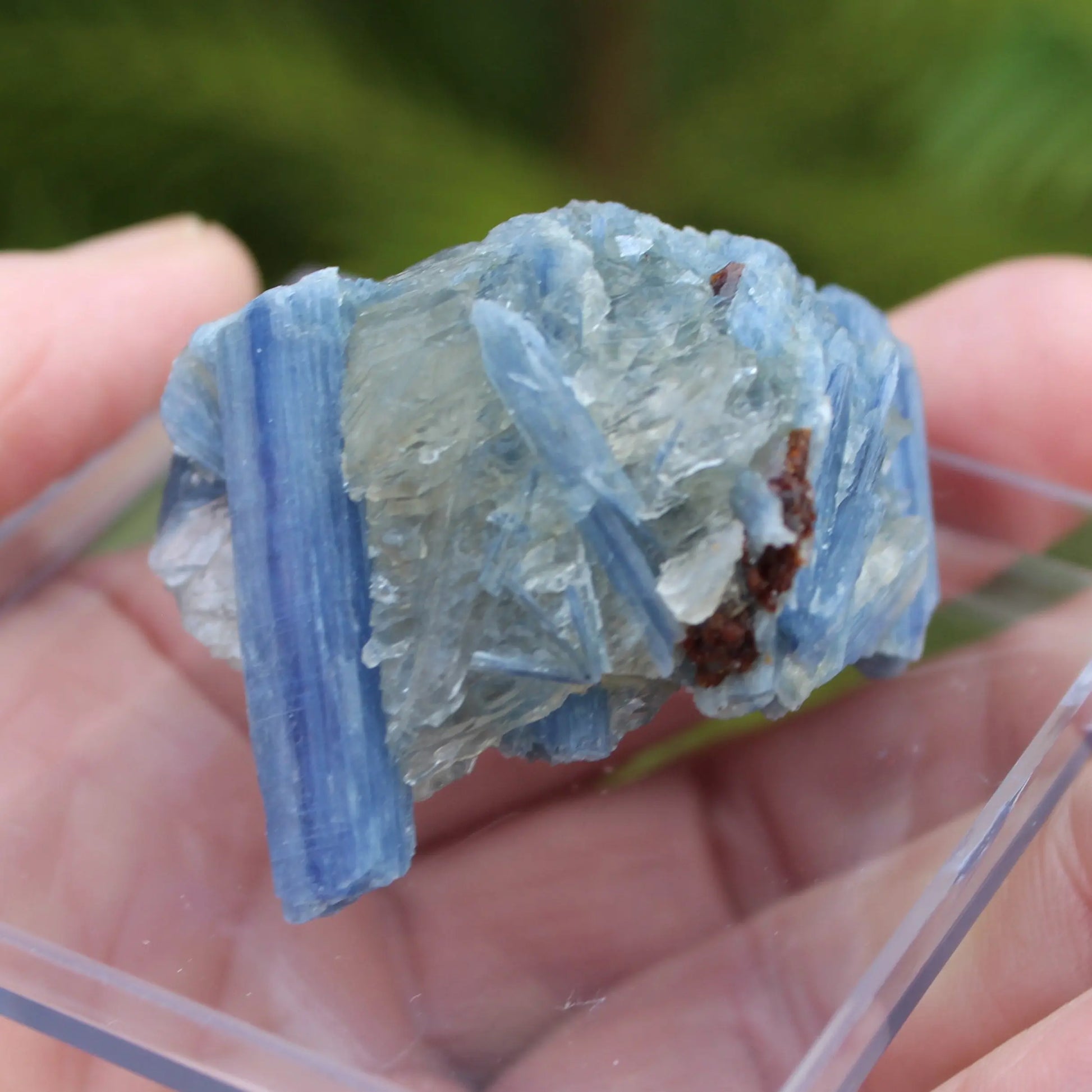 Kyanite rough 45g Rocks and Things