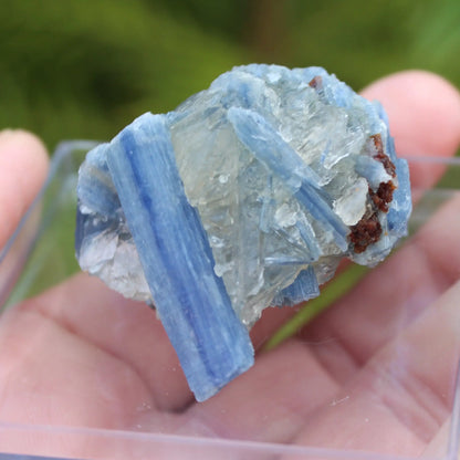 Kyanite rough 45g Rocks and Things