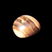 Chocolate Calcite polished stone 11-15g Rocks and Things Store