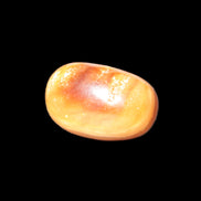 Chocolate Calcite polished stone 11-15g Rocks and Things Store