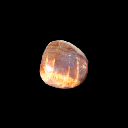Dark Chocolate Calcite tumble polished stone 25-30mm  8-10g Rocks and Things Store