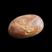 Dark Chocolate Calcite tumble polished stone 25-30mm 8-10g Rocks and Things Store