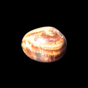 Chocolate Calcite polished stone 16-19g Rocks and Things Store