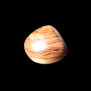 Chocolate Calcite polished stone 16-19g Rocks and Things Store