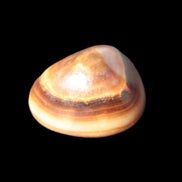 Chocolate Calcite polished stone 16-19g Rocks and Things Store