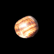 Chocolate Calcite polished stone 16-19g Rocks and Things Store