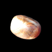 Chocolate Calcite polished stone 20-27g Rocks and Things Store