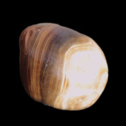 Chocolate Calcite polished stone 20-27g Rocks and Things Store