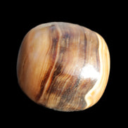 Chocolate Calcite polished stone 20-27g Rocks and Things Store