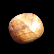 Chocolate Calcite polished stone 20-27g Rocks and Things Store