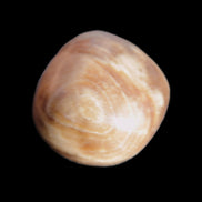 Chocolate Calcite polished stone 20-27g Rocks and Things Store