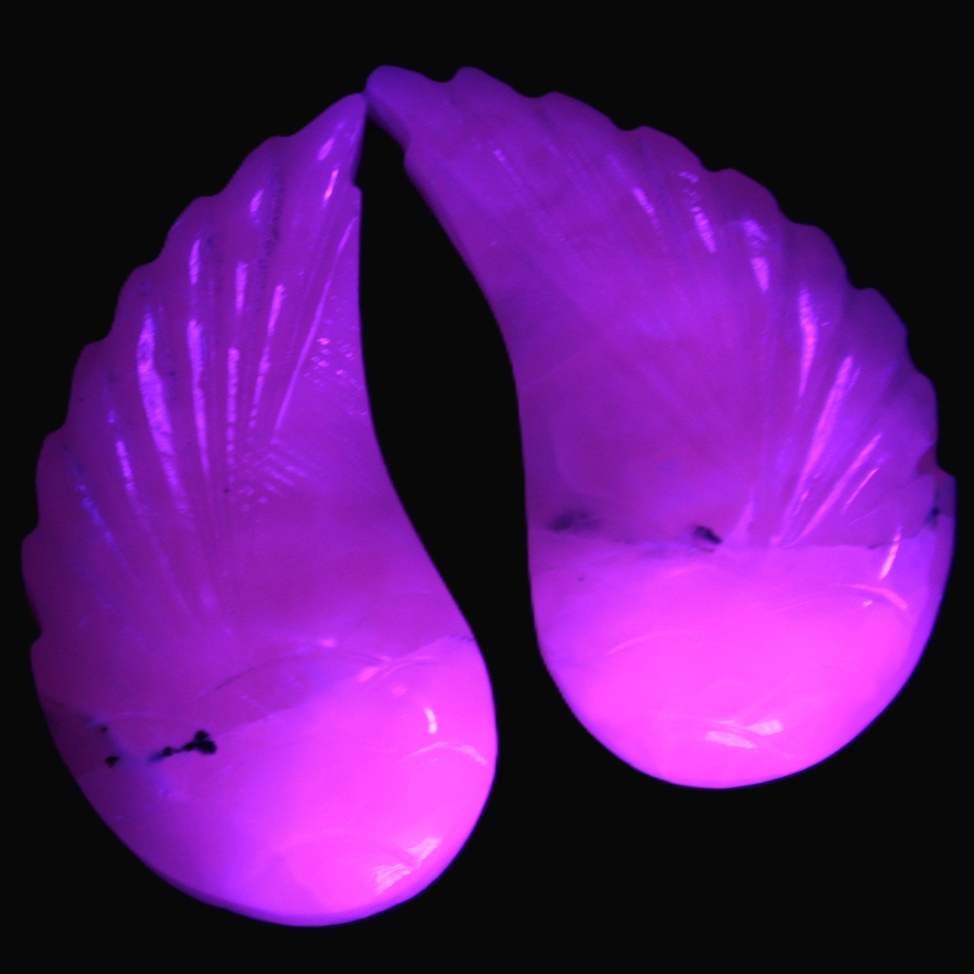 Mangano Calcite angel wings 60/62*115mm (178g & 192g) 380g Rocks and Things Store