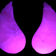 Mangano Calcite angel wings 60/62*115mm (178g & 192g) 380g Rocks and Things Store