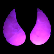 Mangano Calcite angel wings 60/62*115mm (178g & 192g) 380g Rocks and Things Store