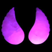 Mangano Calcite angel wings 60/62*115mm (178g & 192g) 380g Rocks and Things Store