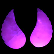 Mangano Calcite angel wings 60/62*115mm (178g & 192g) 380g Rocks and Things Store