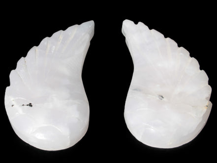 Mangano Calcite angel wings 60/62*115mm (178g & 192g) 380g Rocks and Things Store