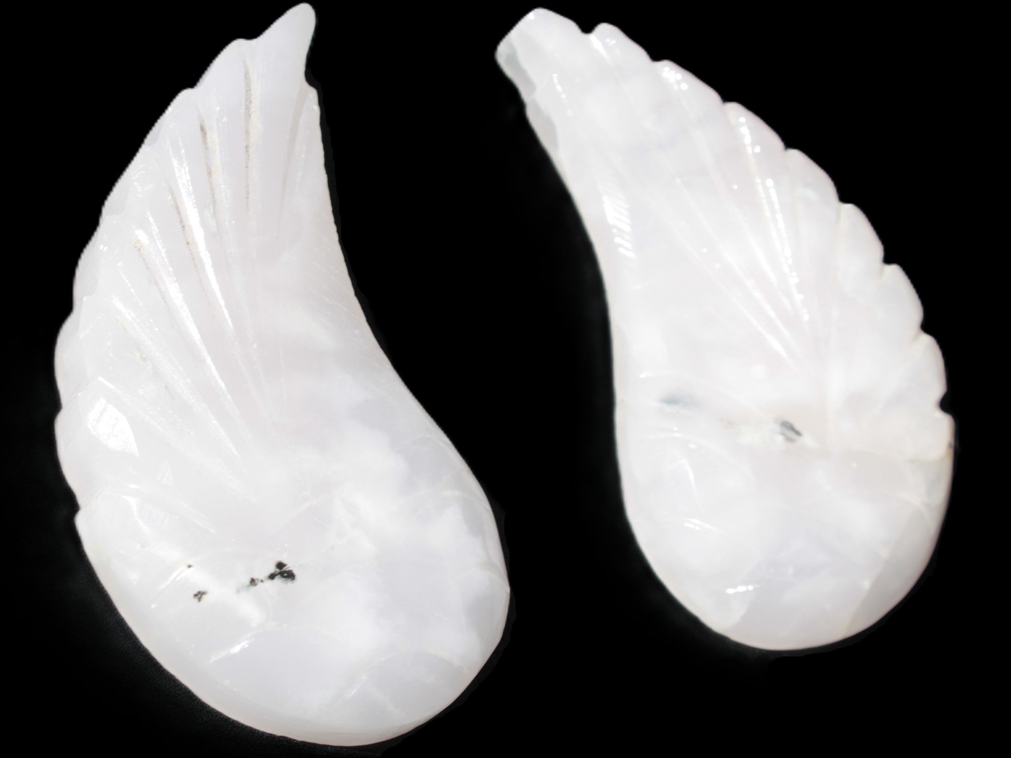 Mangano Calcite angel wings 60/62*115mm (178g & 192g) 380g Rocks and Things Store