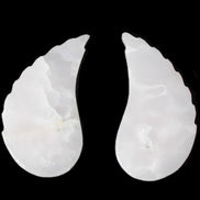 Mangano Calcite angel wings 60/62*115mm (178g & 192g) 380g Rocks and Things Store