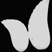 Mangano Calcite angel wings 60/62*115mm (178g & 192g) 380g Rocks and Things Store