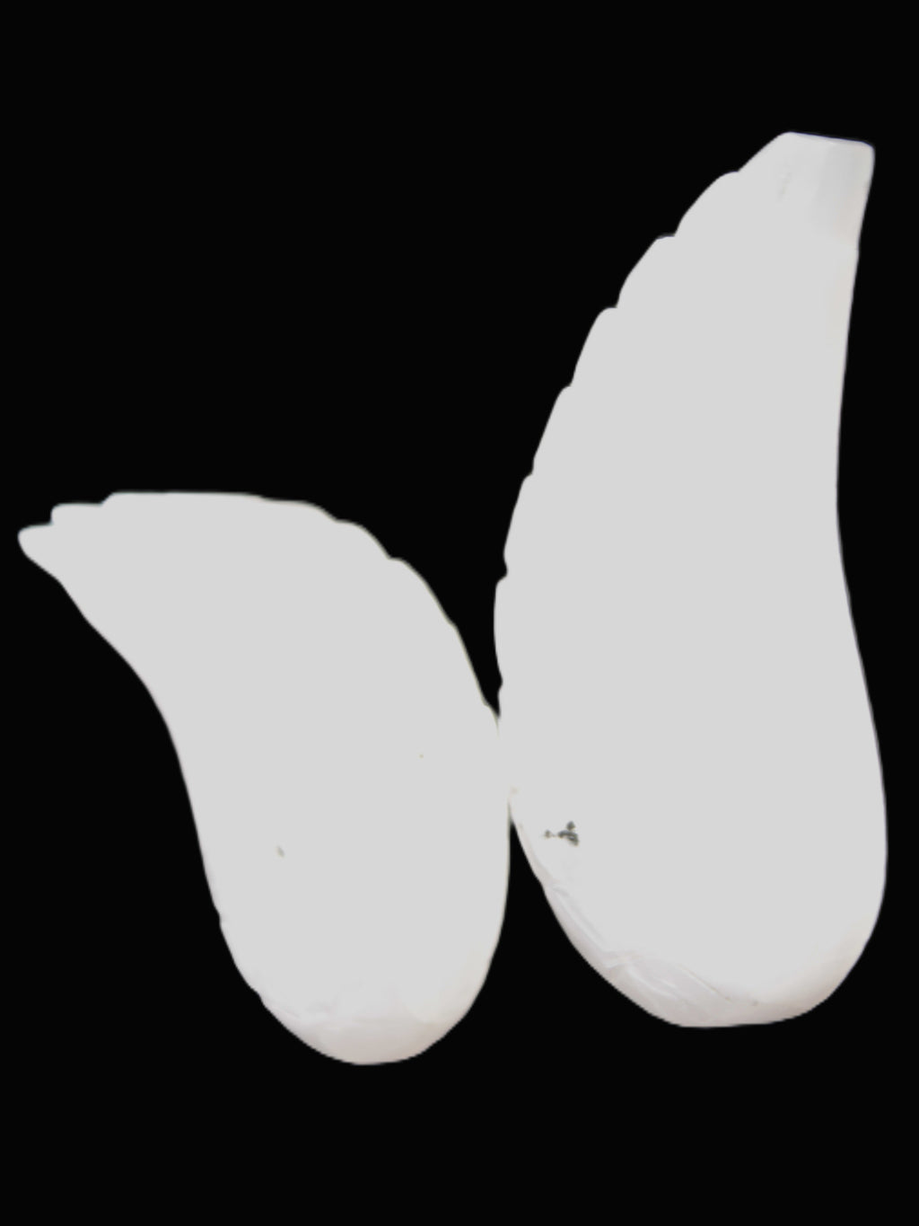 Mangano Calcite angel wings 60/62*115mm (178g & 192g) 380g Rocks and Things Store