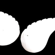 Mangano Calcite angel wings 60/62*115mm (178g & 192g) 380g Rocks and Things Store