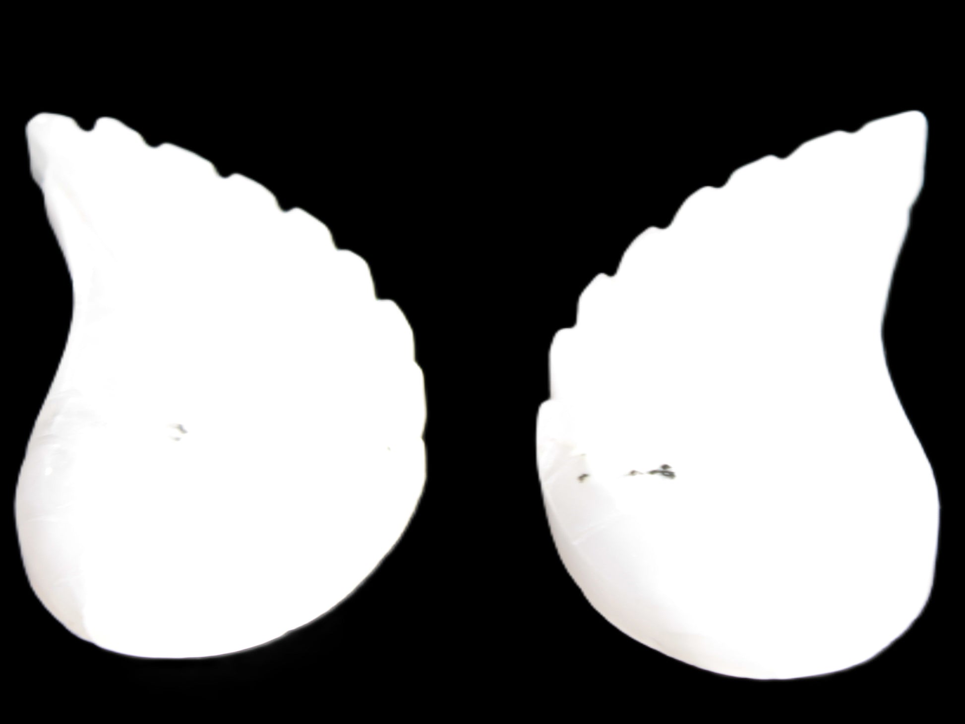 Mangano Calcite angel wings 60/62*115mm (178g & 192g) 380g Rocks and Things Store