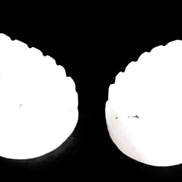 Mangano Calcite angel wings 60/62*115mm (178g & 192g) 380g Rocks and Things Store