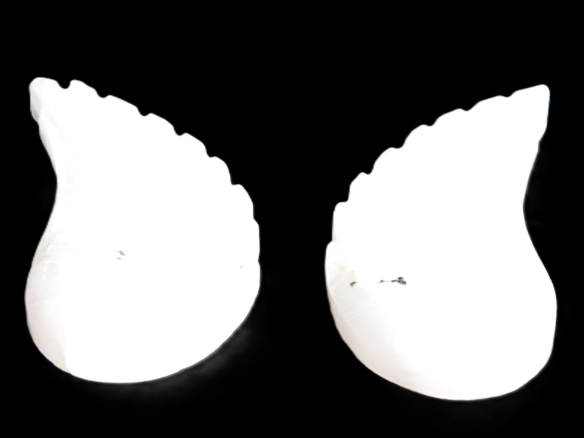 Mangano Calcite angel wings 60/62*115mm (178g & 192g) 380g Rocks and Things Store