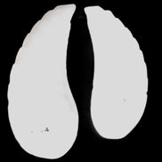 Mangano Calcite angel wings 60/62*115mm (178g & 192g) 380g Rocks and Things Store