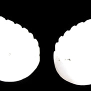 Mangano Calcite angel wings 60/62*115mm (178g & 192g) 380g Rocks and Things Store