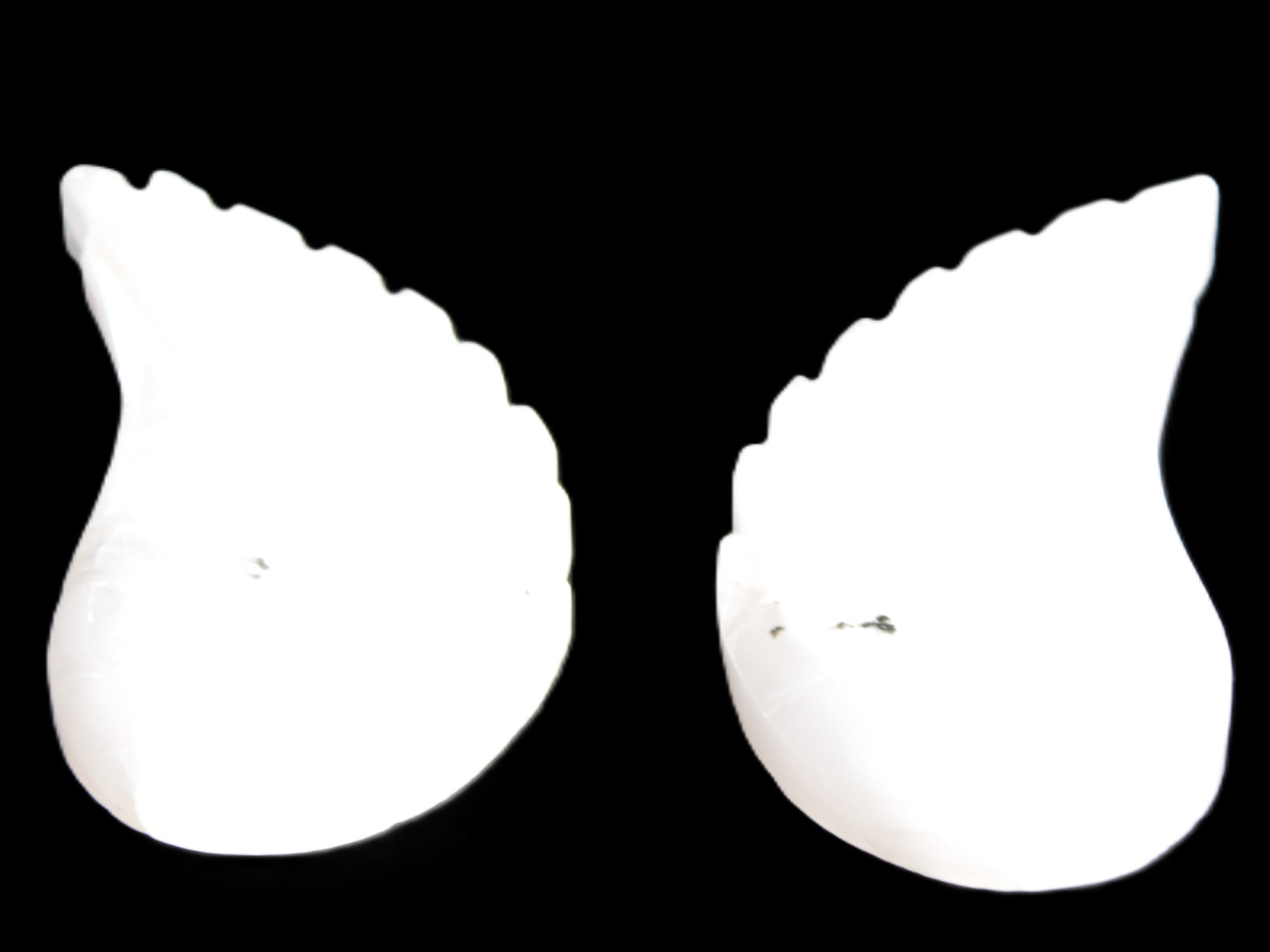 Mangano Calcite angel wings 60/62*115mm (178g & 192g) 380g Rocks and Things Store