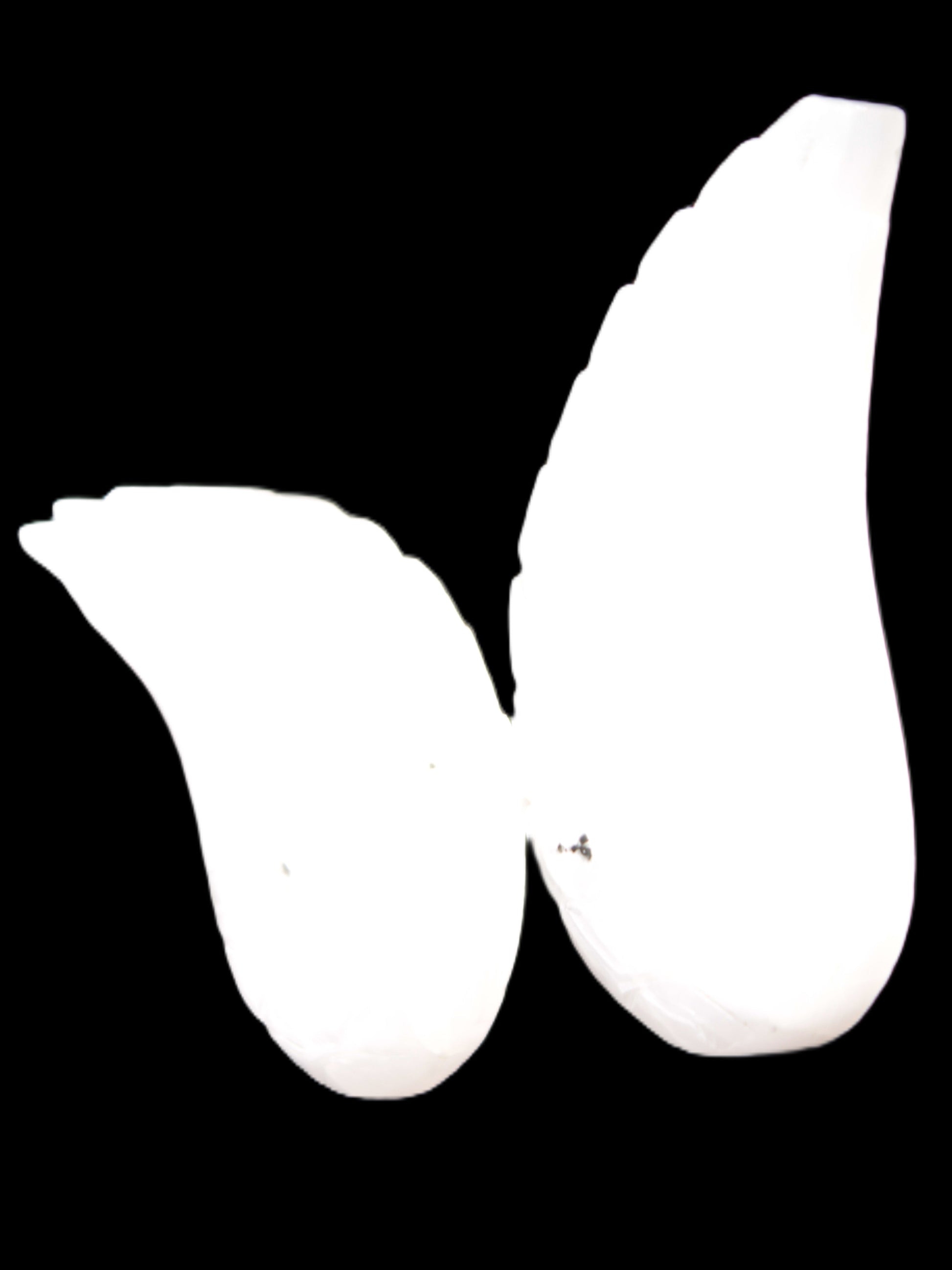 Mangano Calcite angel wings 60/62*115mm (178g & 192g) 380g Rocks and Things Store