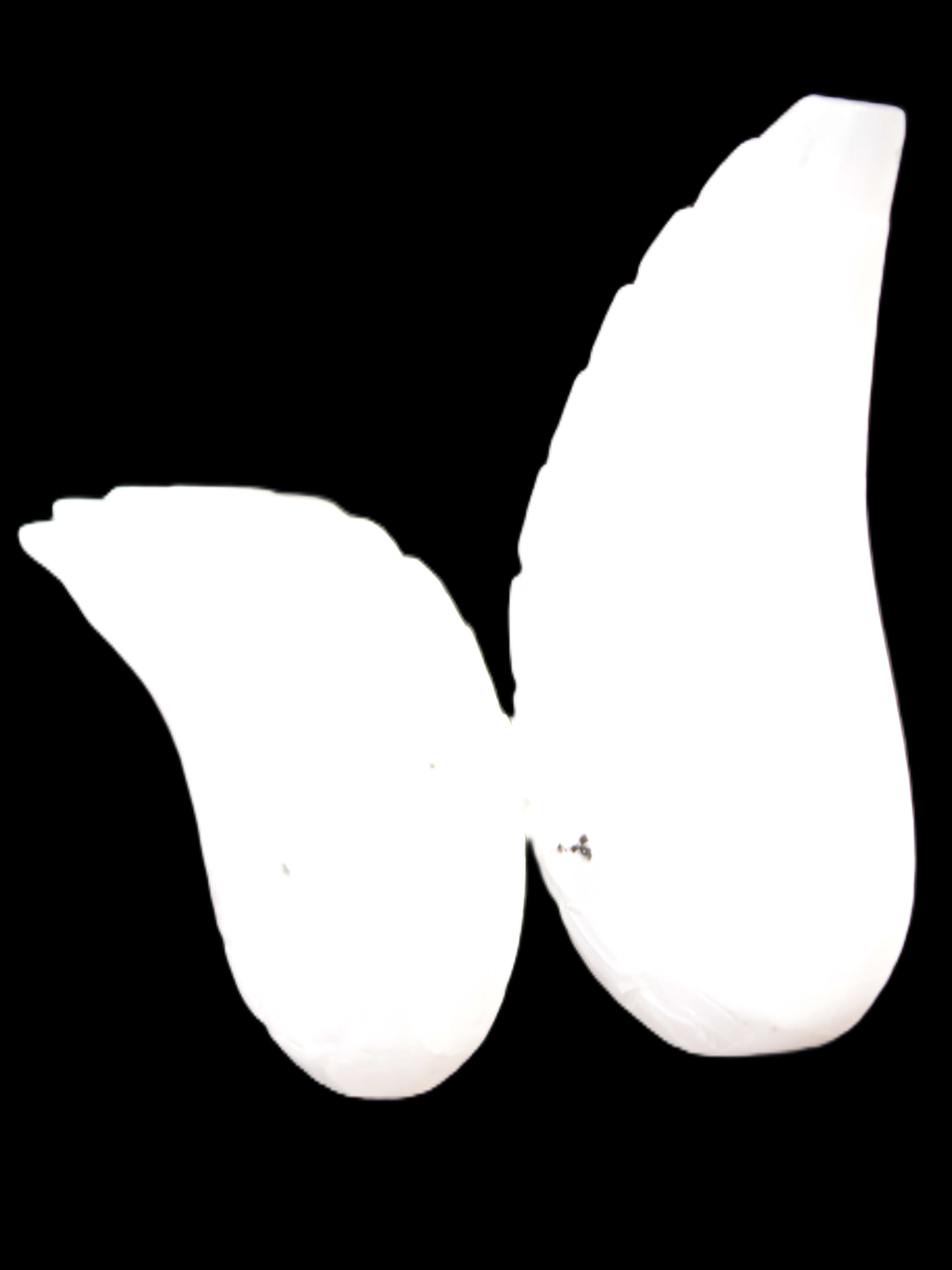 Mangano Calcite angel wings 60/62*115mm (178g & 192g) 380g Rocks and Things Store