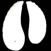 Mangano Calcite angel wings 60/62*115mm (178g & 192g) 380g Rocks and Things Store