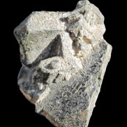 Magnificent Epidote cluster specimen from Afghanistan 66*45*58mm 135.9g in sunlight - Rocks and Things Store