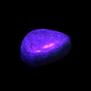 Chrysocolla 1/2 tumbled stones 22-32mm 20-25g in UV light - Rocks and Things Store