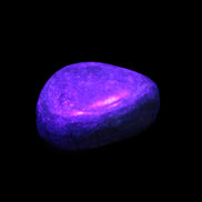 Chrysocolla 1/2 tumbled stones 22-32mm 20-25g in UV light - Rocks and Things Store