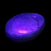 Chrysocolla 1/2 tumbled stones 22-32mm 20-25g in UV light - Rocks and Things Store